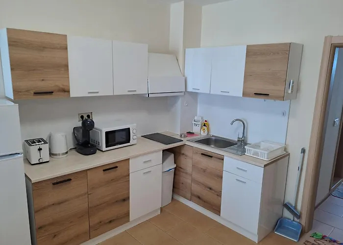 アパート In Black Sea Star Complex *